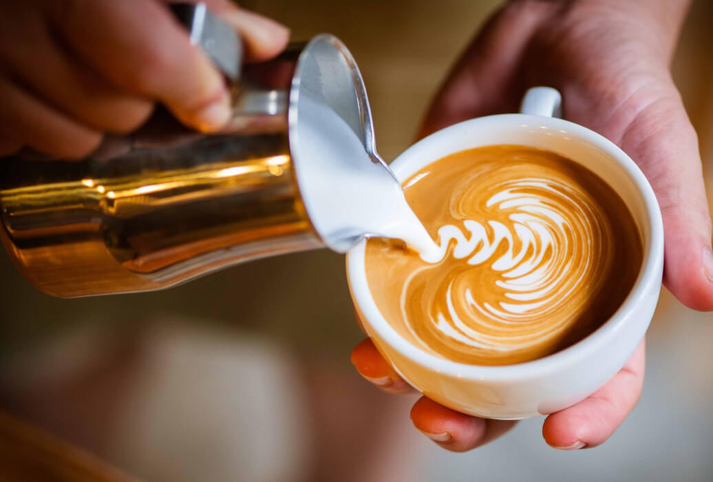 From Bean to Brew: The Coffee Journey